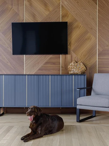 Panouri Decorative de la Nani - eleganță modernă și durabilitate 13